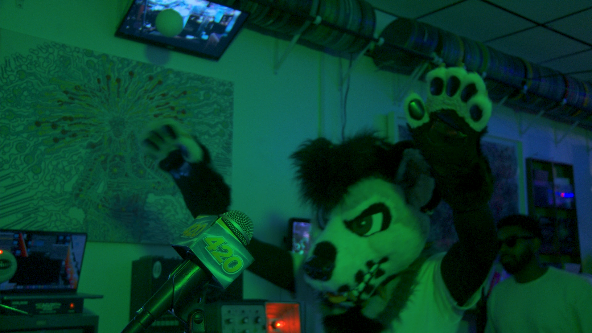 Performer in Furry costume hit by green light during a club set.